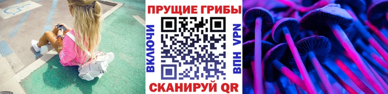 Галлюциногенные грибы MAGIC MUSHROOMS мега зеркало Звенигород сколько стоит